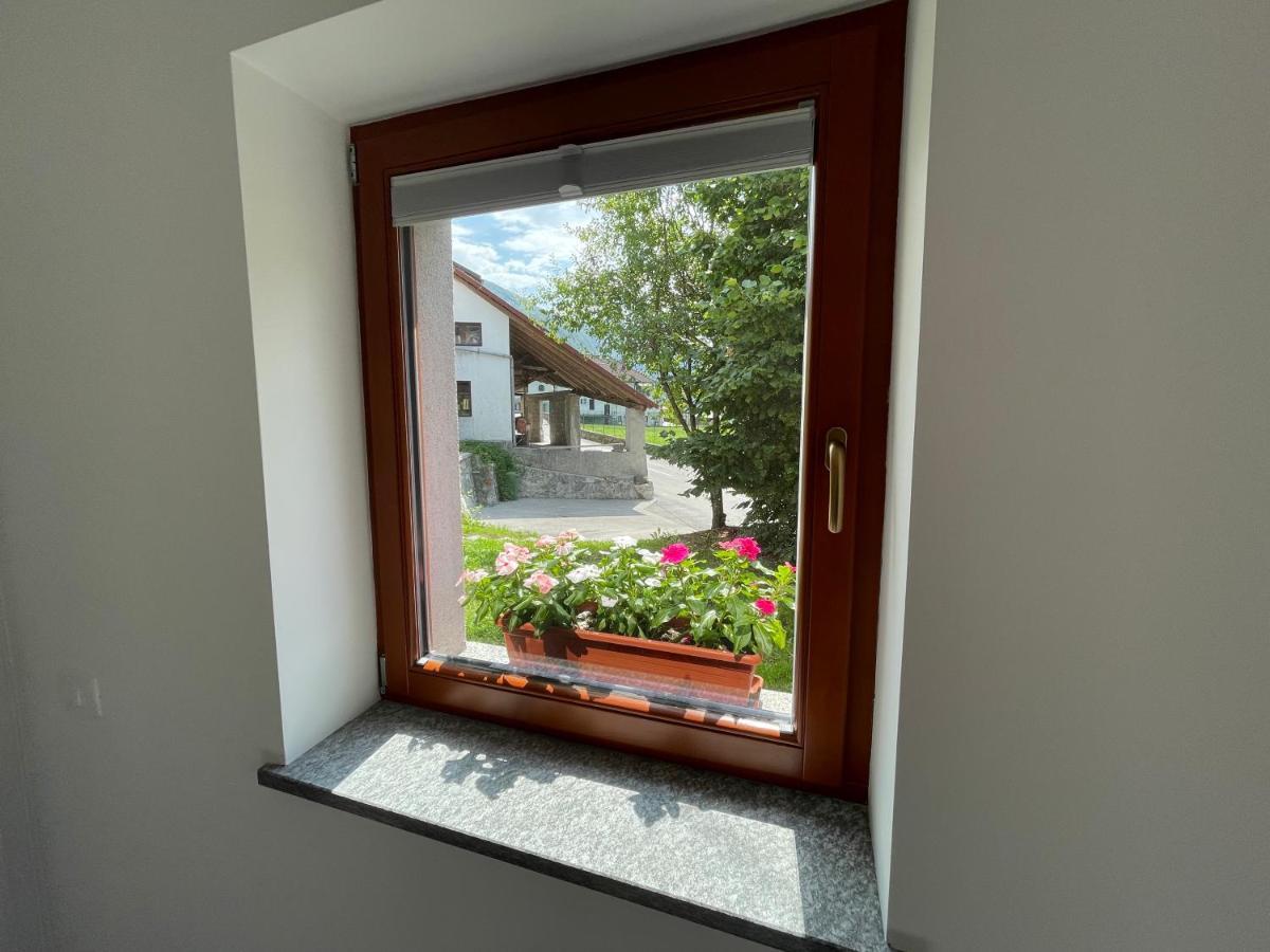Apartma 7 - In The Heart Of Soca Valley Tolmin Exterior foto